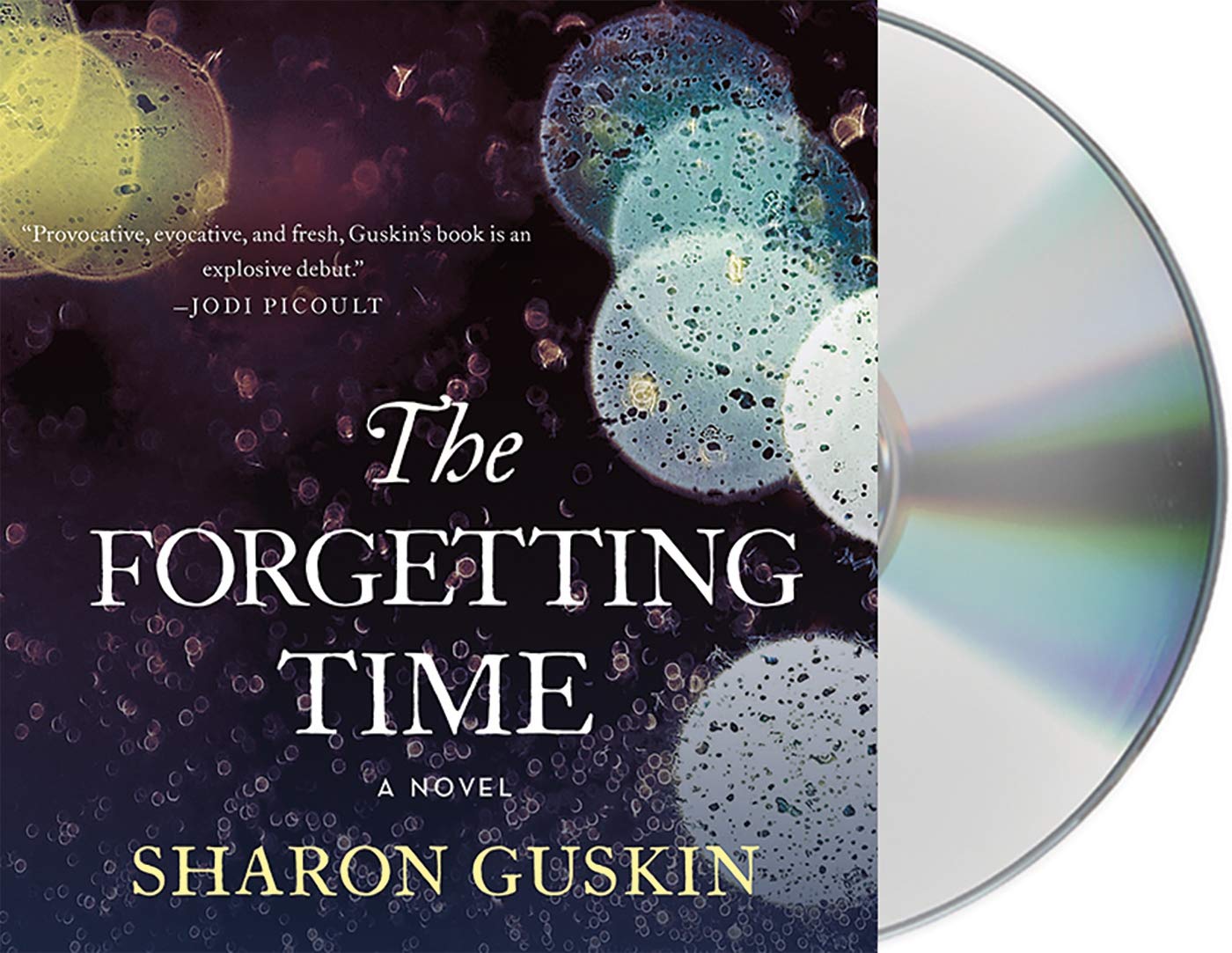 The Forgetting Time: A Novel