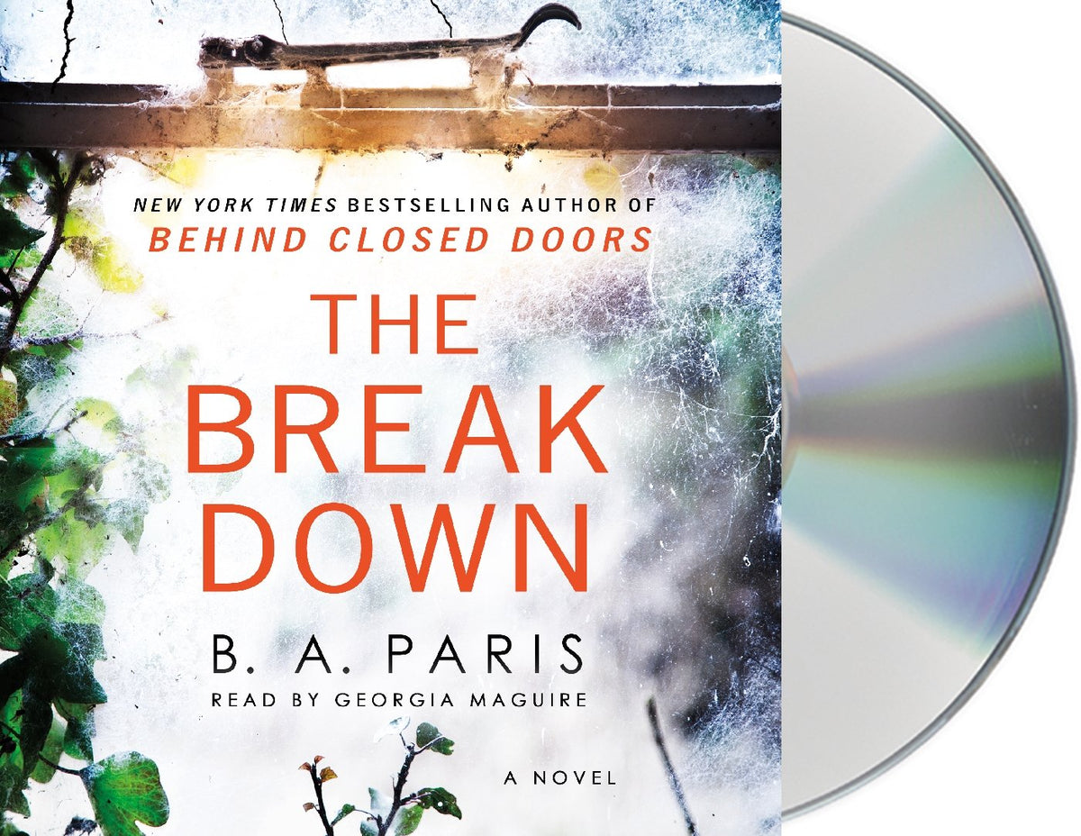 The Breakdown: A Novel