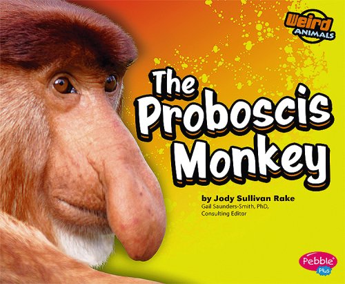 The Proboscis Monkey