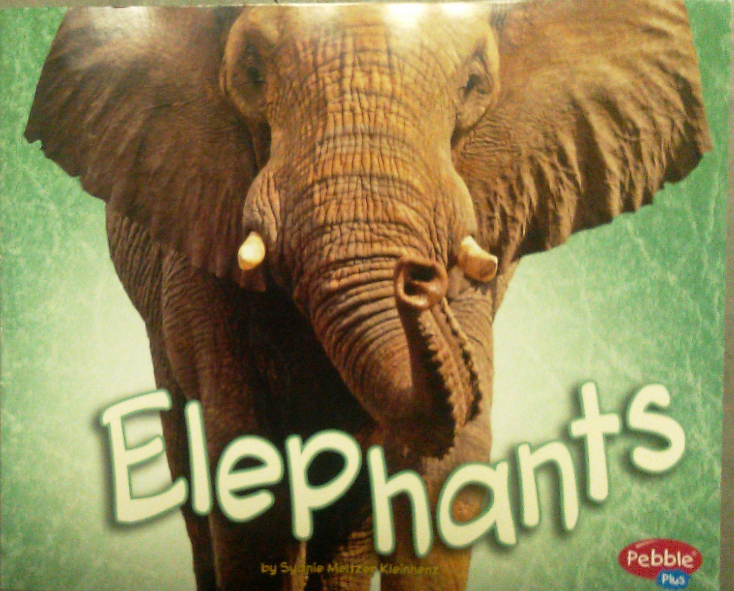 Elephants [Scholastic] (African Animals)