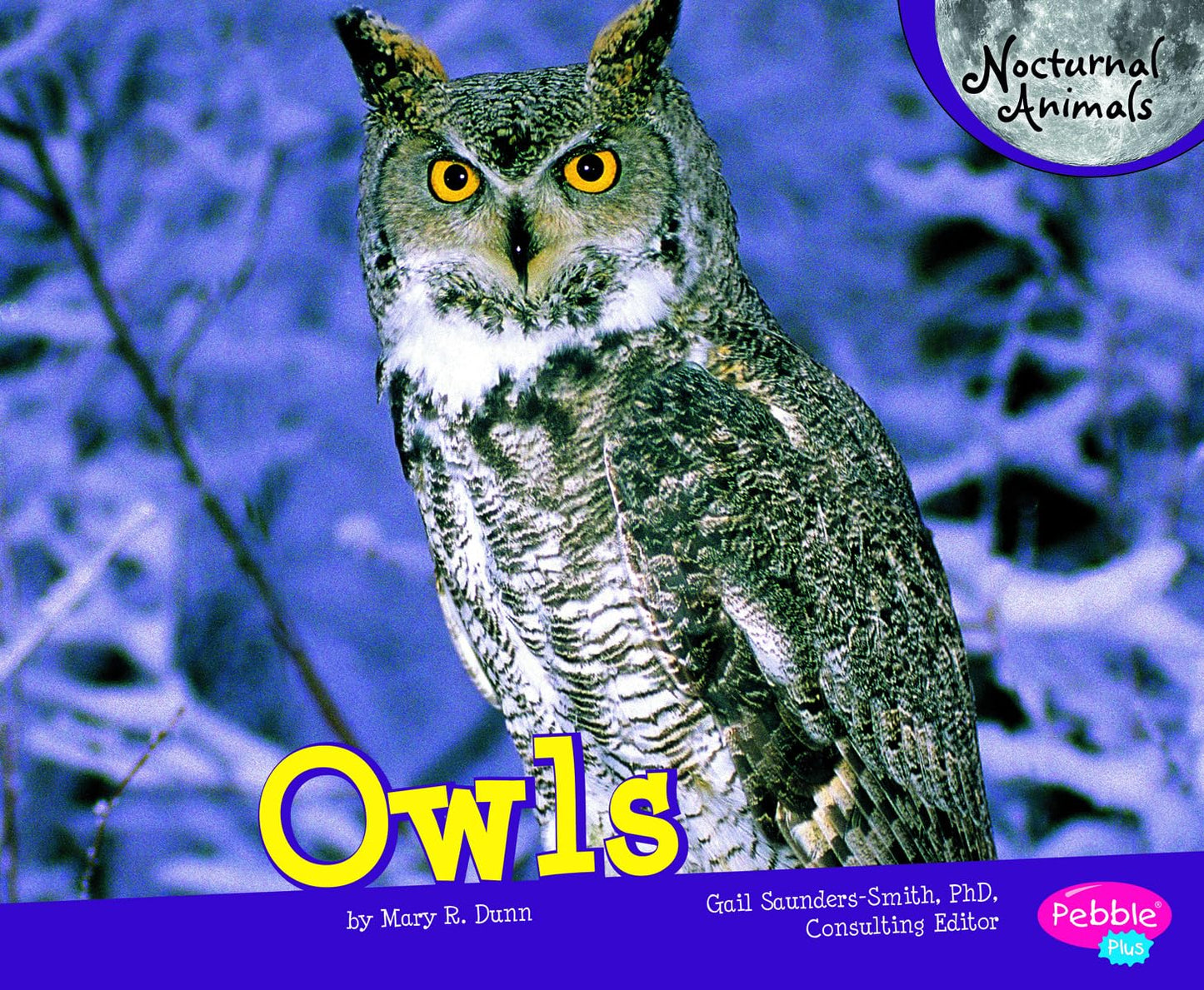 Owls (Pebble Plus: Nocturnal Animals)