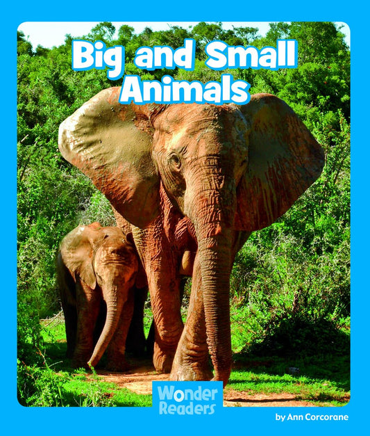 Big and Small Animals (Wonder Readers)