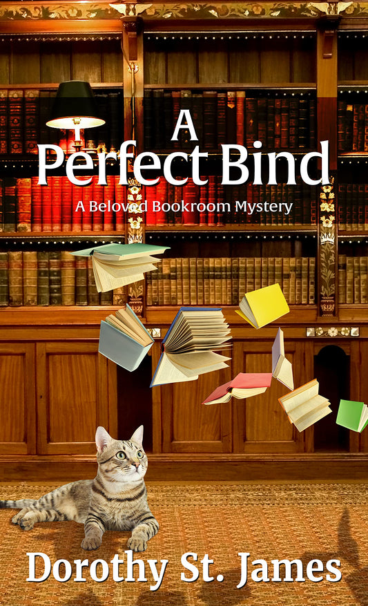 A Perfect Bind (A Beloved Bookroom Mystery, 2)