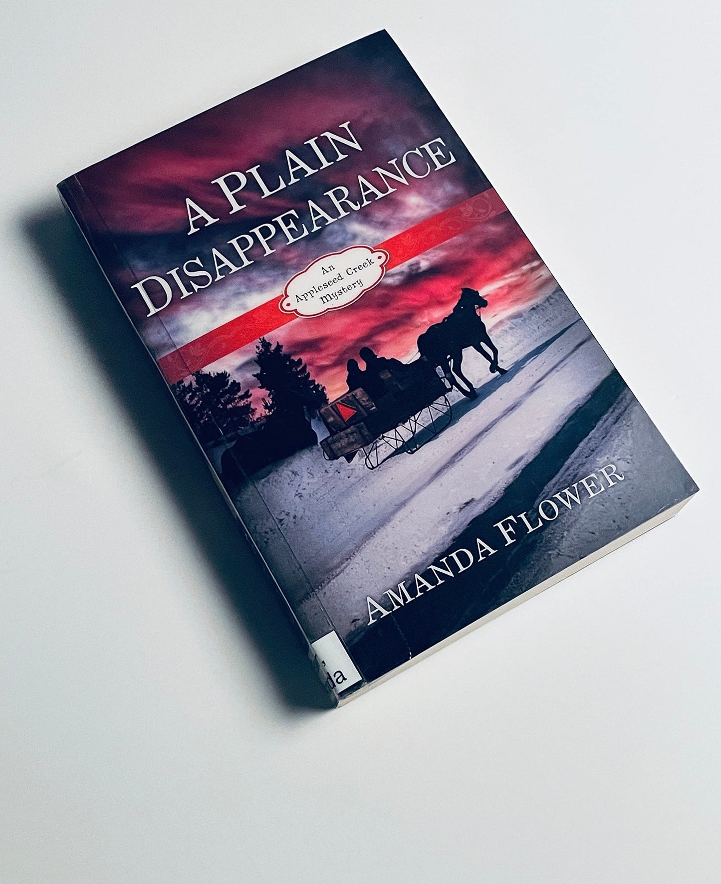 A Plain Disappearance: An Appleseed Creek Mystery
