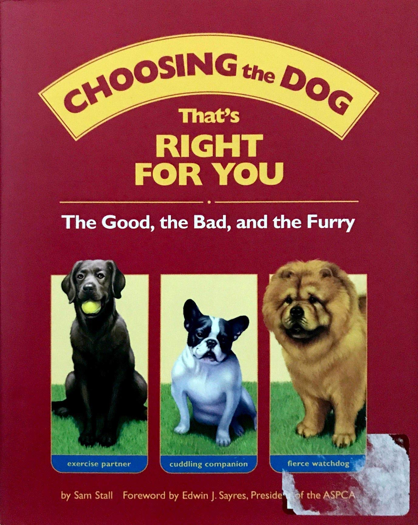 Choosing the Dog that's Right for You : The Good, the Bad, and the Furry