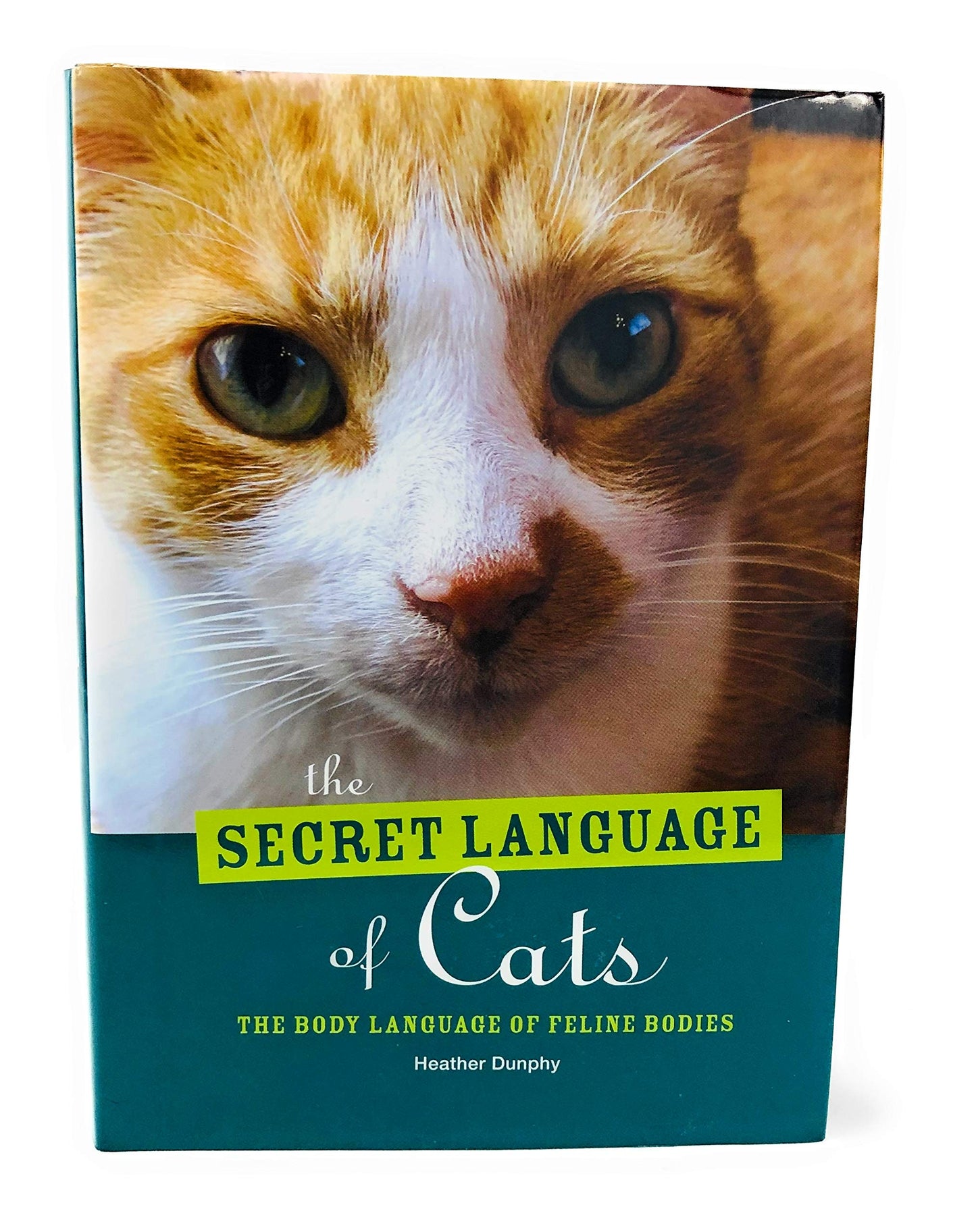 The Secret Language of Cats