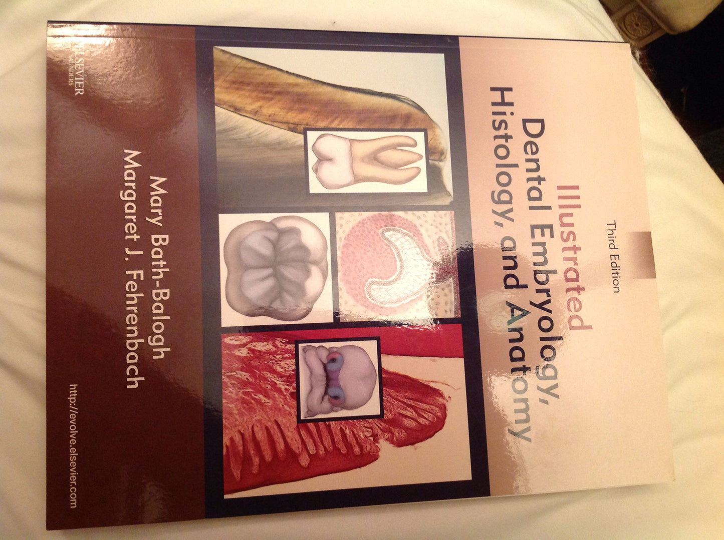 Illustrated Dental Embryology, Histology, and Anatomy