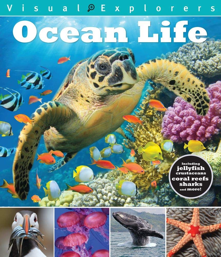Ocean Life (Visual Explorers Series)