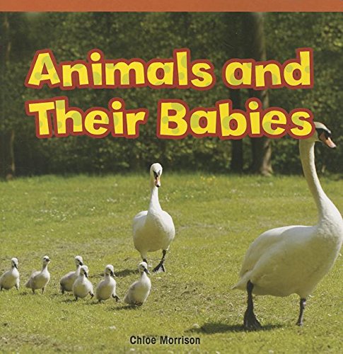 Animals and Their Babies (Rosen Common Core Readers)