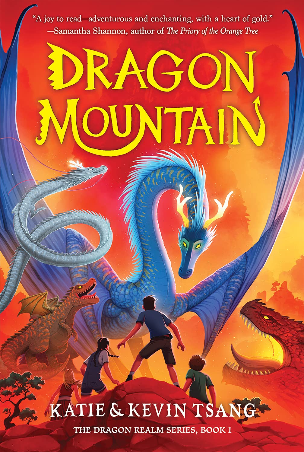 Dragon Mountain (Dragon Realm, 1)