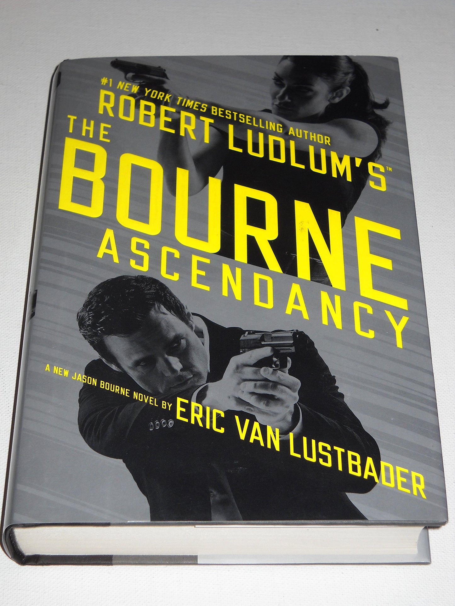 Robert Ludlum's (TM) The Bourne Ascendancy (Jason Bourne Series, 12)