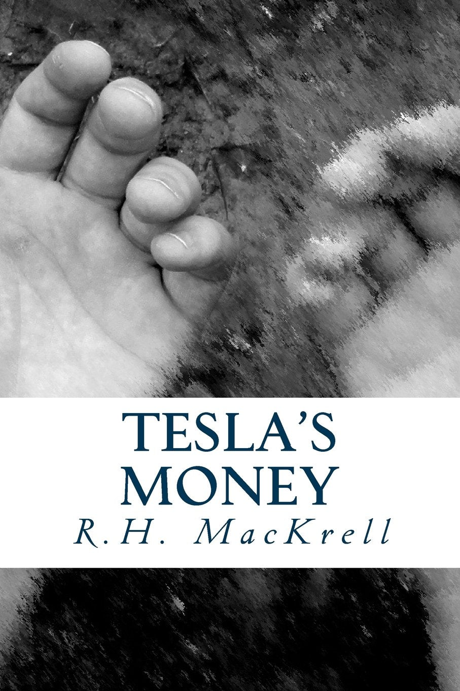 Tesla's Money (V2)