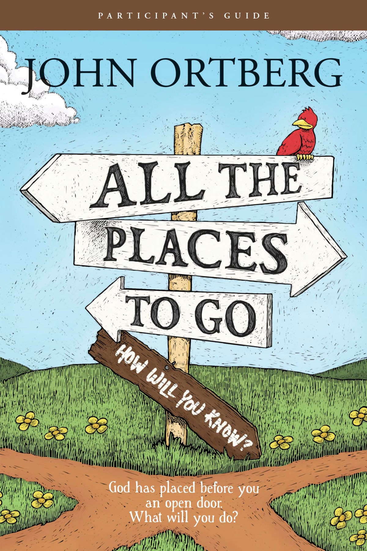 All the Places to Go . . . How Will You Know? God Has Placed before You an Open Door. What Will You Do? (Participant's Guide, not actual book)