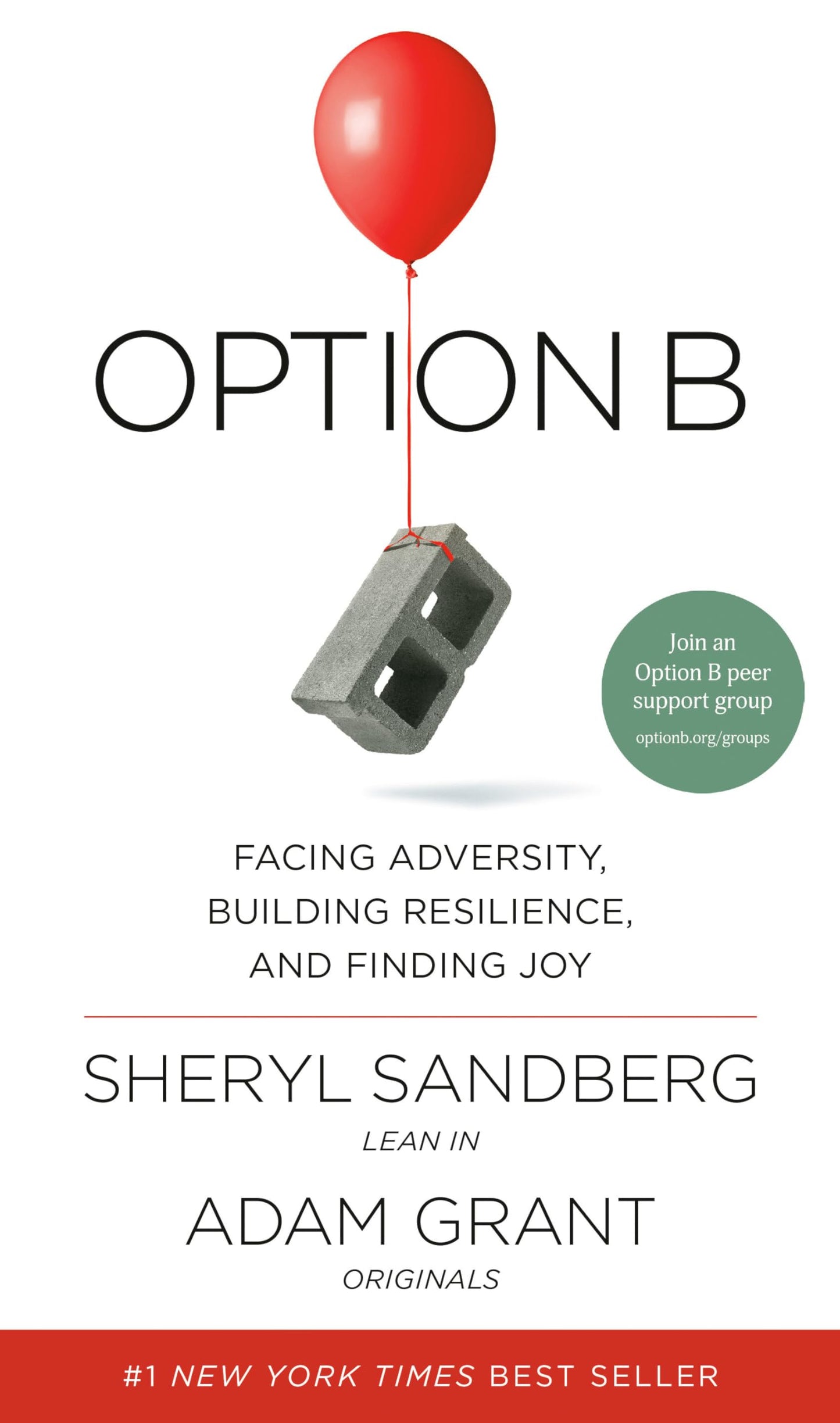 OPTION B: FACING ADVERSITY, BUIL