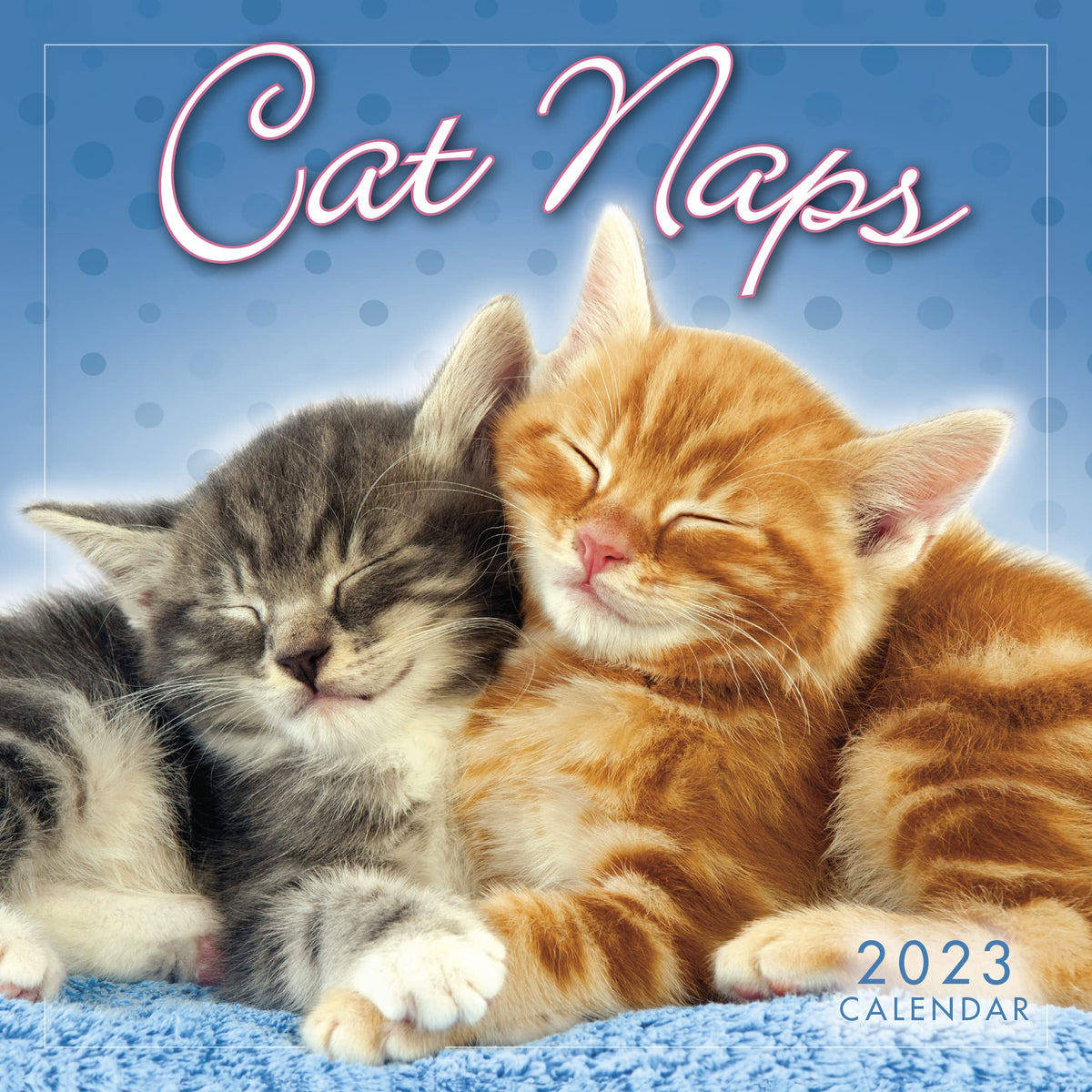Cat Naps 2023 Mini Calendar, 7" x 7"