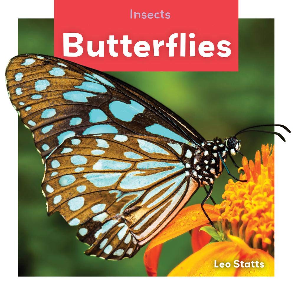 Butterflies (Insects)