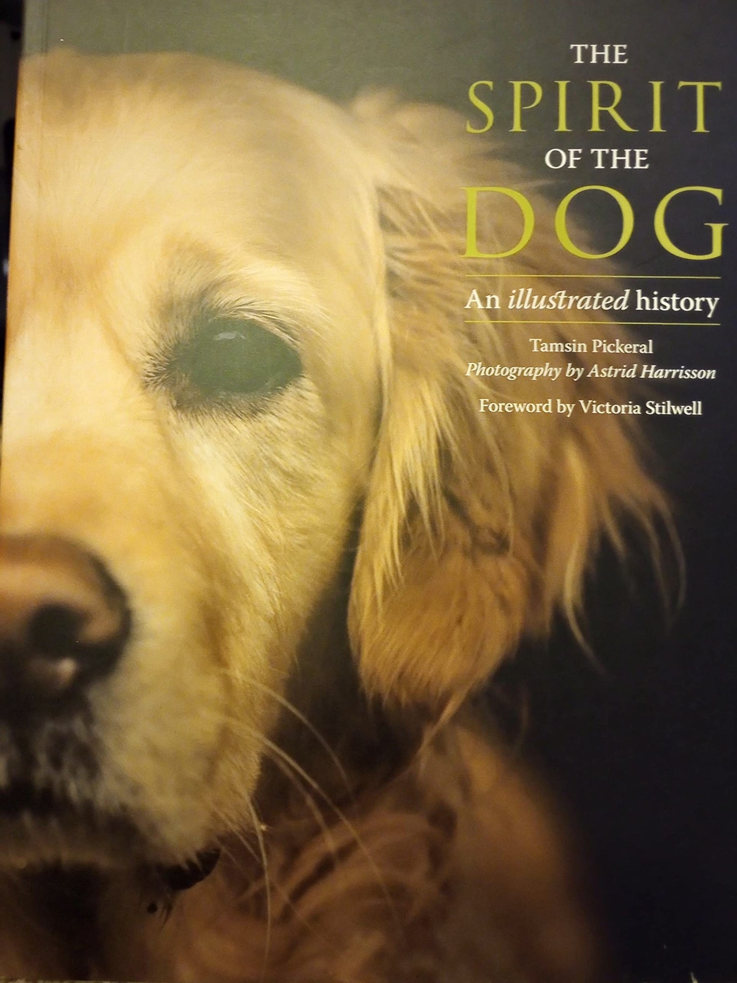 The Spirit of the Dog: An illustrated history