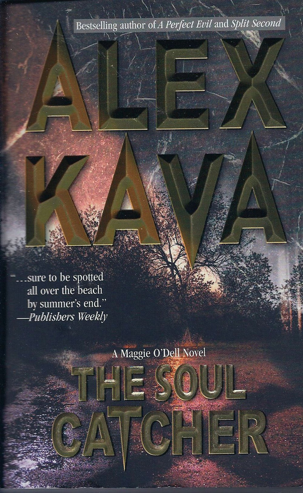 THE SOUL CATCHER