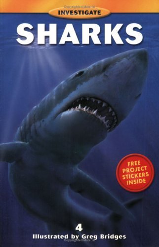 Sharks (Investigate Series)