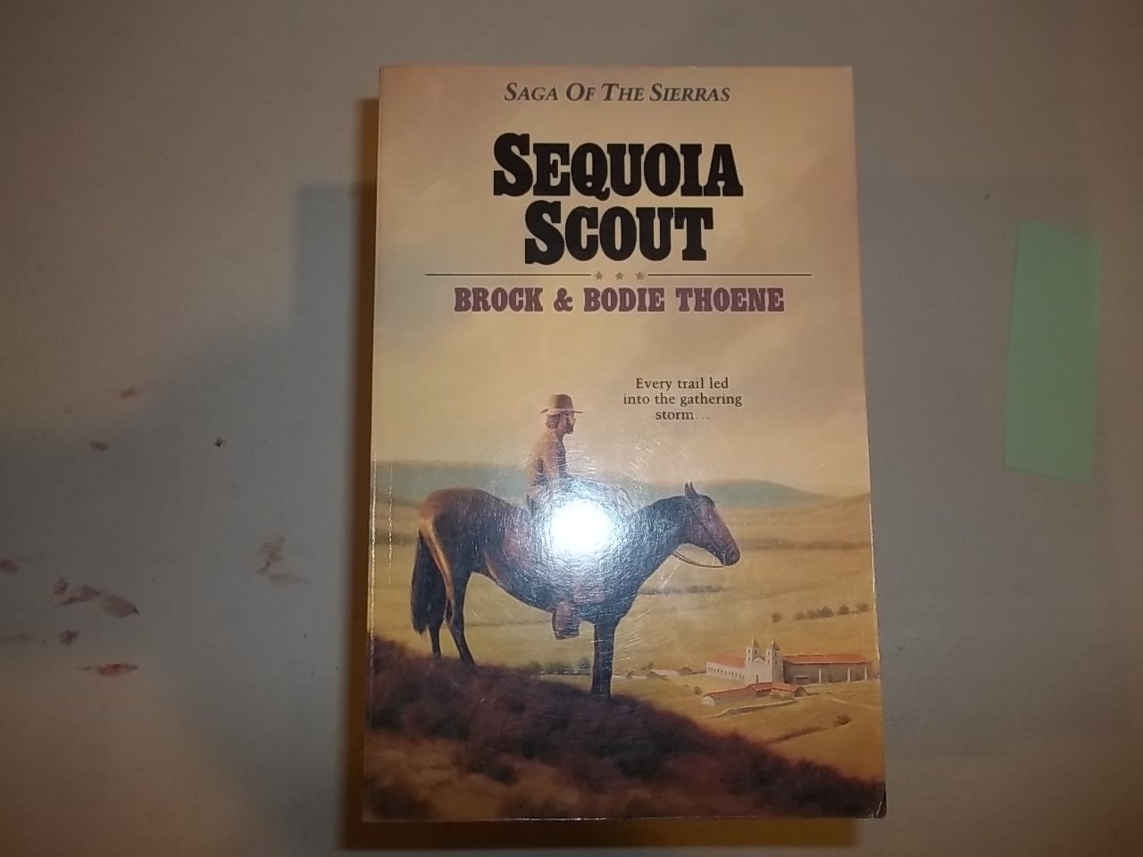 Sequoia Scout (Saga of the Sierras)