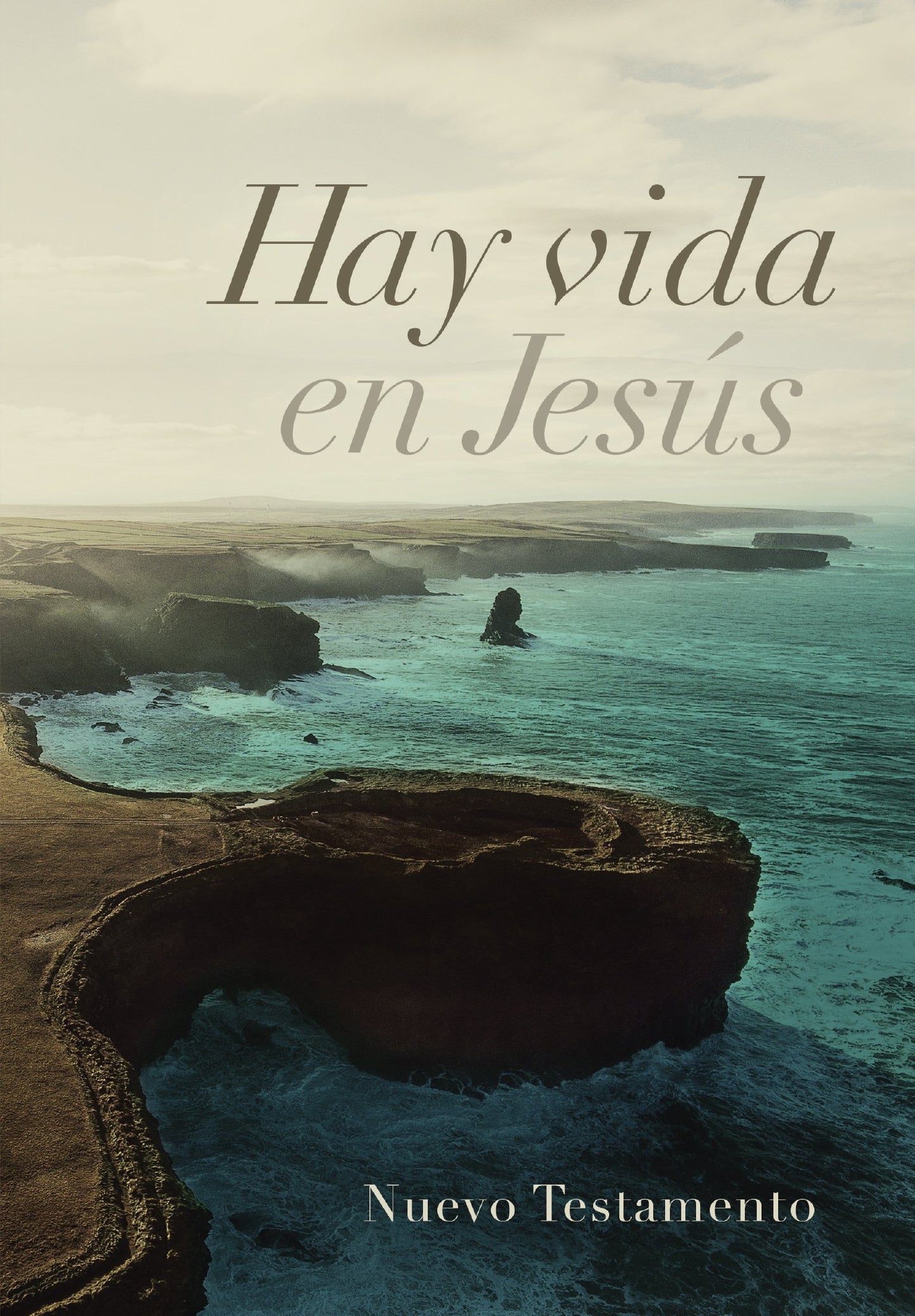 Nuevo Testamento Hay Vida En Jesus, Rvr 1960