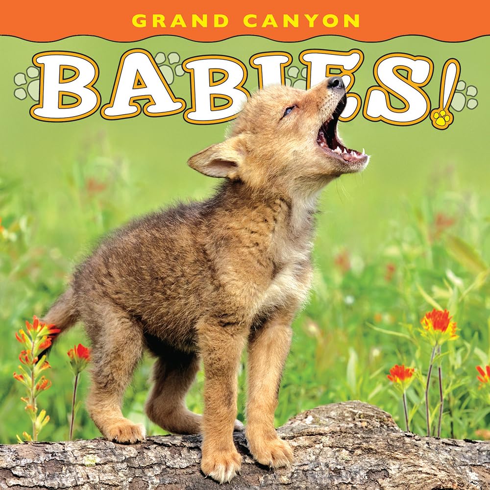 Grand Canyon Babies! (Babies! Animal)