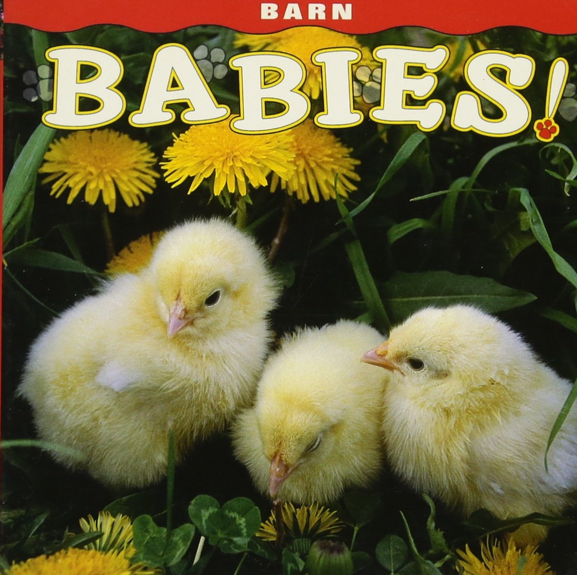 Barn Babies! (Babies! (Farcountry Press))