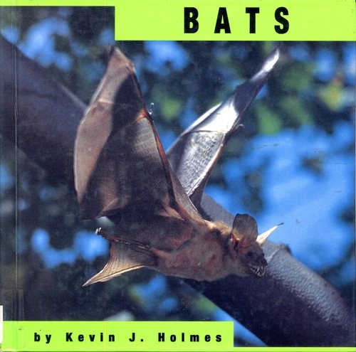 Bats (Animals)