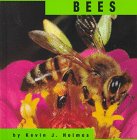 Bees (Animals)