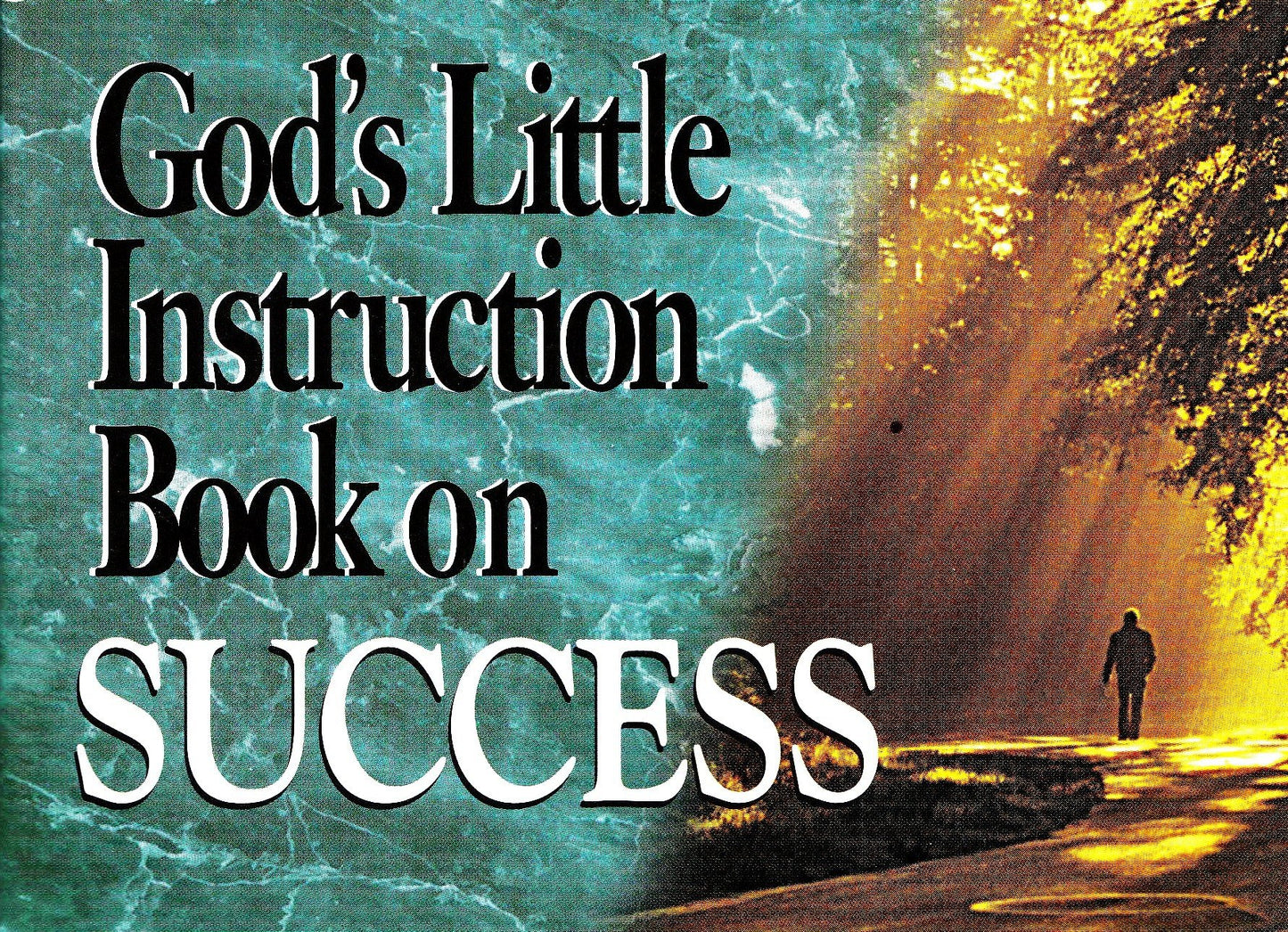 God's Little Instruction Book on Success