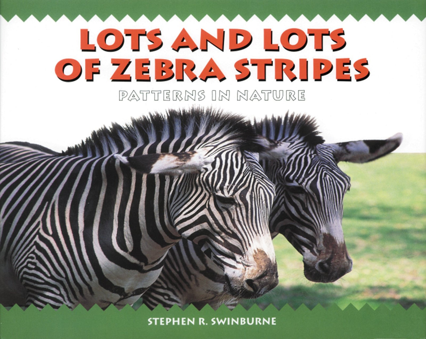 LOTS AND LOTS OF ZEBRA STRIPES