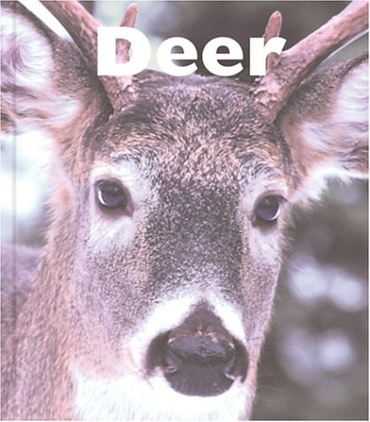 Deer (Naturebooks)