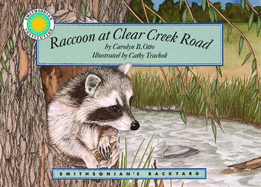 Raccoon at Clear Creek Road (Smithsonian's Backyard)