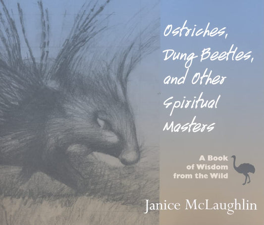 Ostriches, Dung Beetles and Other Spiritual Masters: A Book of Wisdom from the Wild