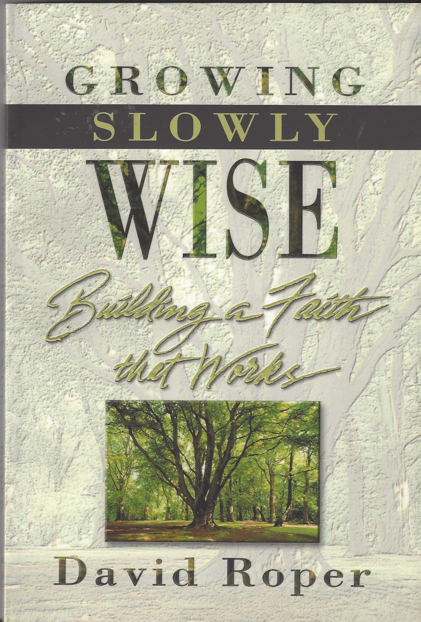 Growing Slowly Wise: Building a Faith that Works