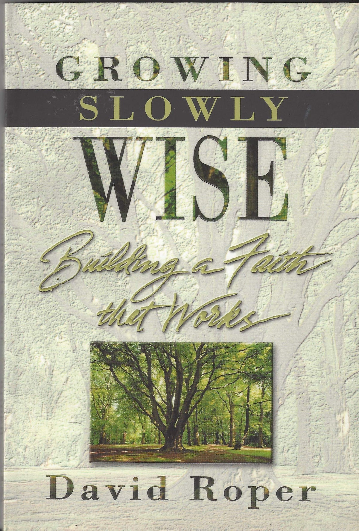 Growing Slowly Wise: Building a Faith that Works