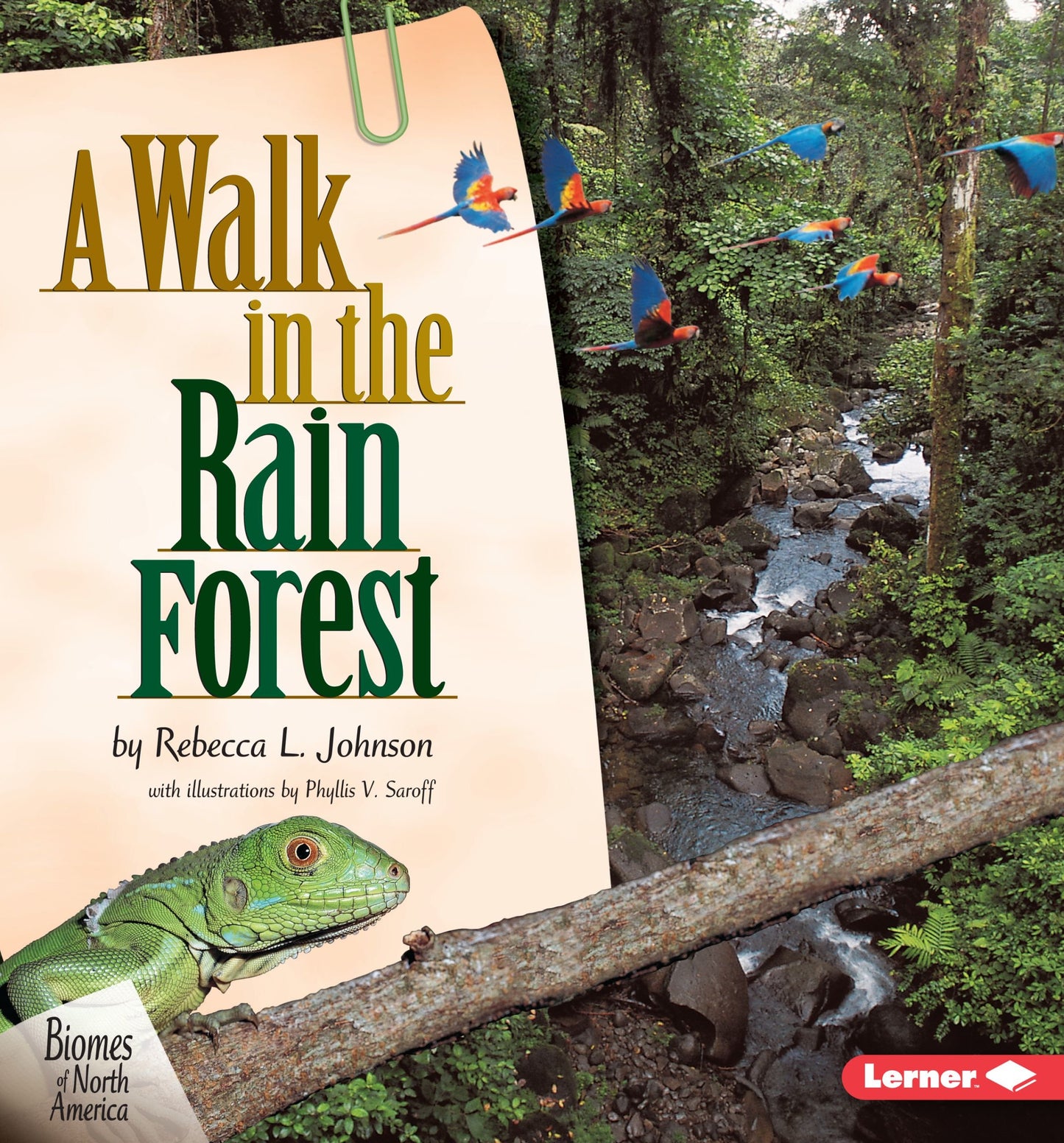 A Walk in the Rain Forest (Biomes of North America)