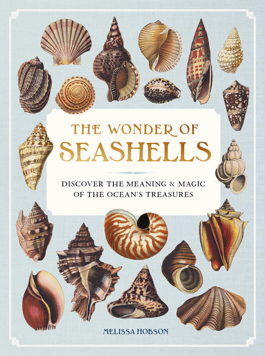 The Wonder of Seashells: Discover the Meaning & Magic of the Ocean’s Treasures (Ocean Wonders)