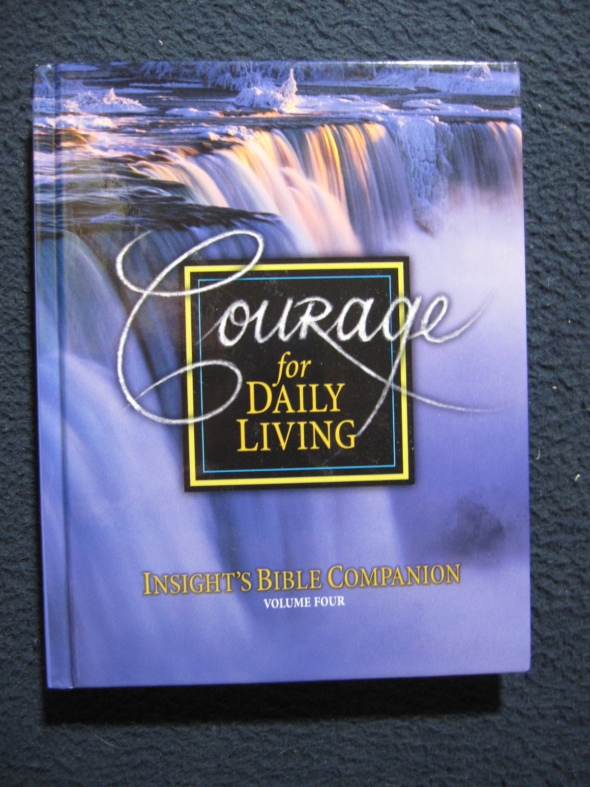 Courage for Daily Living Insights Bible Companion