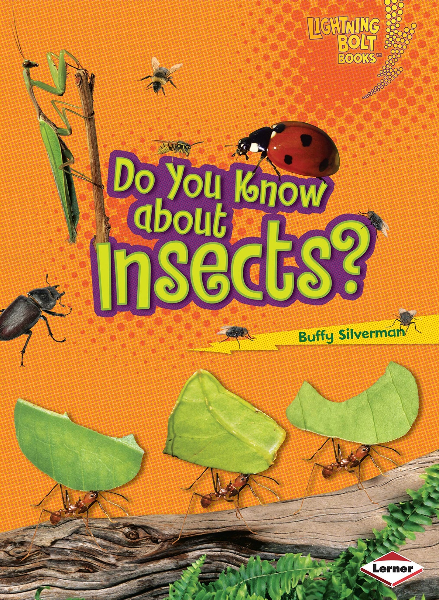 Do You Know about Insects? (Lightning Bolt Books ® ― Meet the Animal Groups)