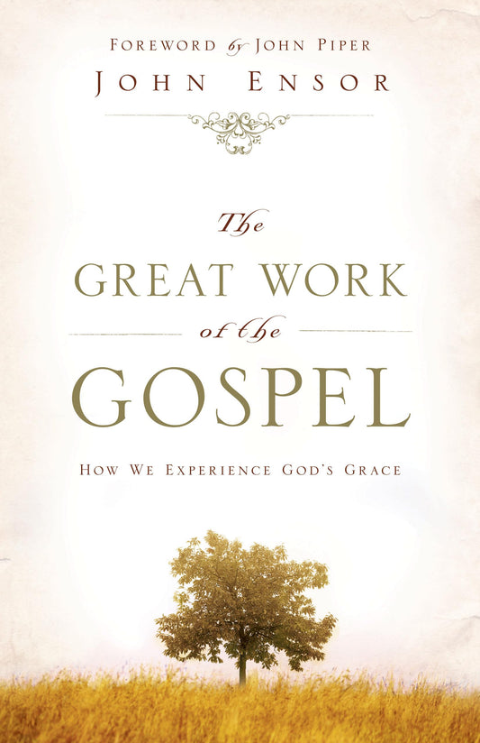 The Great Work of the Gospel: How We Experience God's Grace
