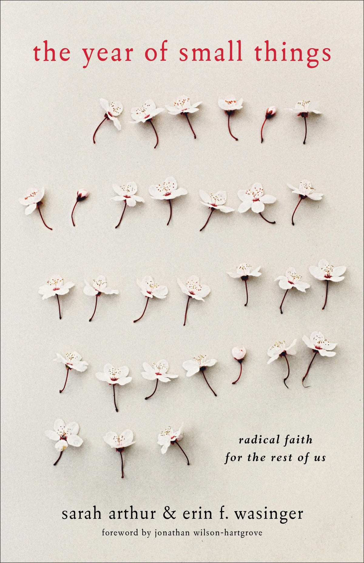 The Year of Small Things: Radical Faith for the Rest of Us