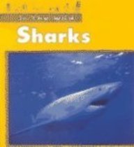 Sharks (In the Wild)