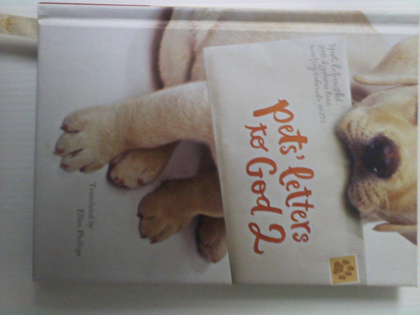 PET'S LETTERS TO GOD 2