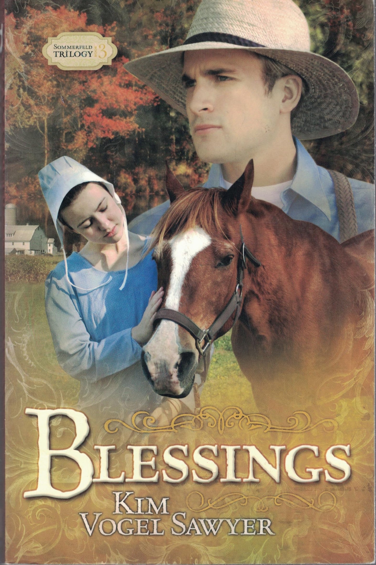 Blessings: Sommerfeld Trilogy #3 (Truly Yours Romance Club #19)