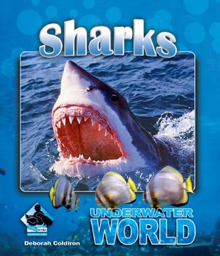Sharks (Underwater World)
