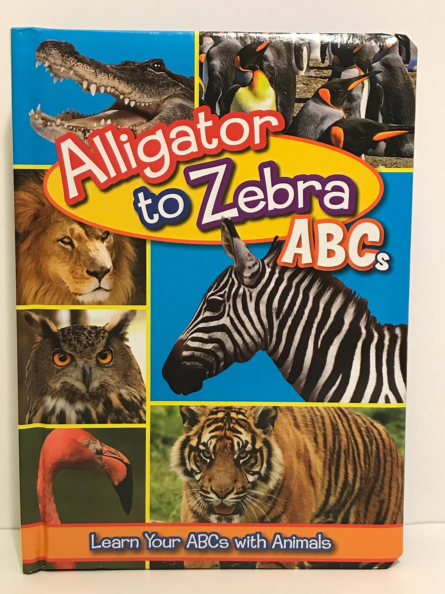 Flying Frog Alligator to Zebra Abc's Learning Your Abc's with Animals