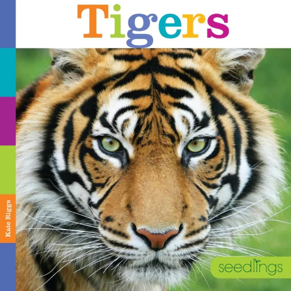 Tigers (Seedlings)