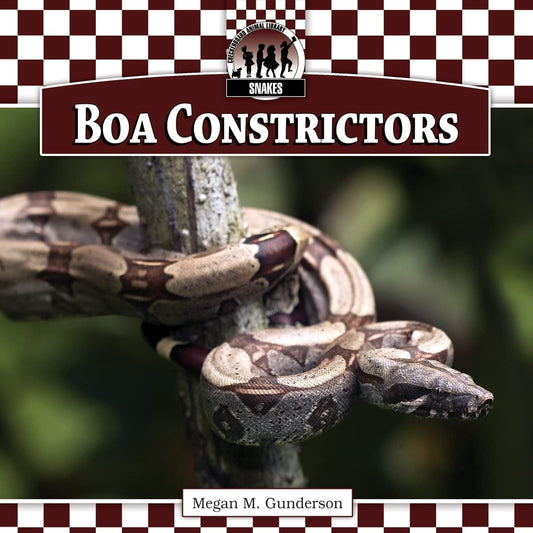 Boa Constrictors (Snakes)