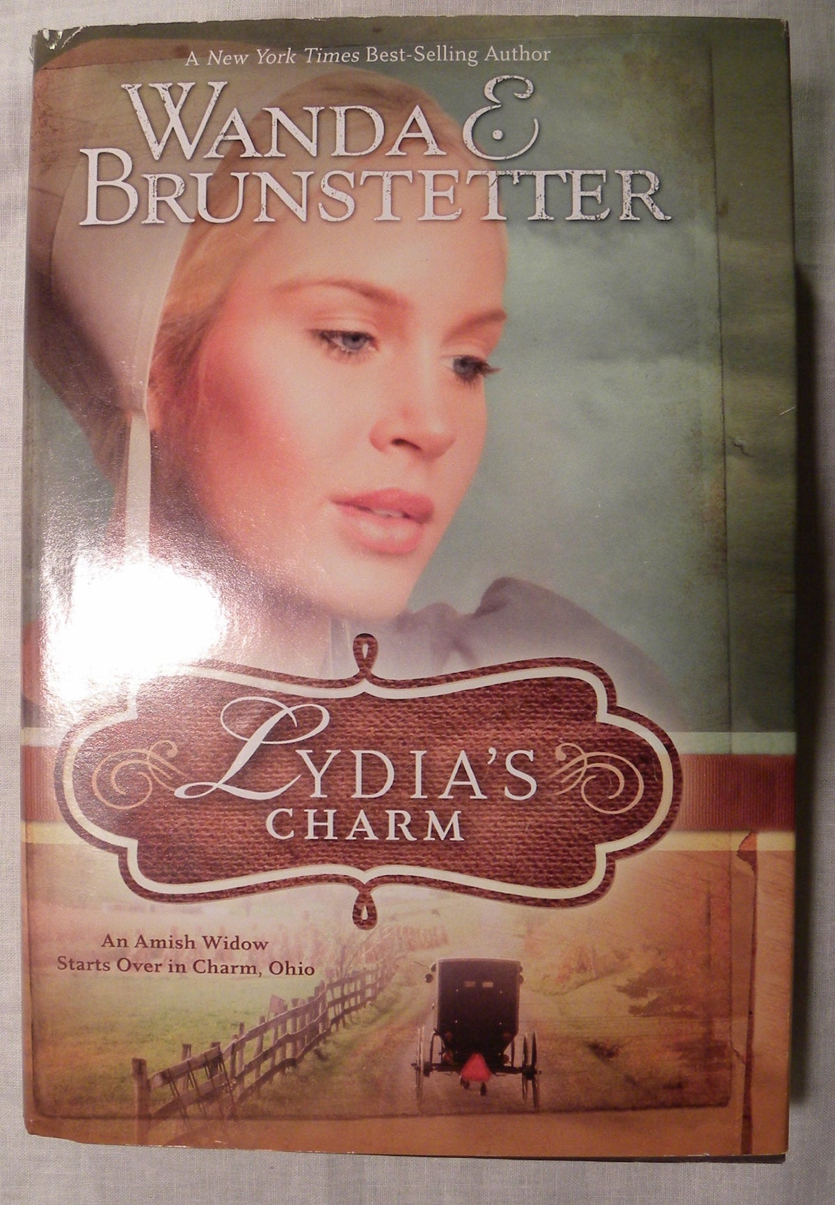 Lydia's Charm: An Amish Widow Starts Over in Charm, Ohio